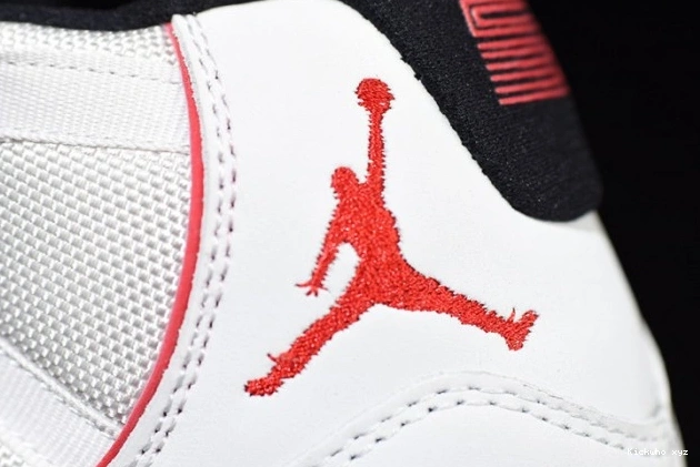 378037-016 Jordan Retro Tint 11 Platinum Air 0624